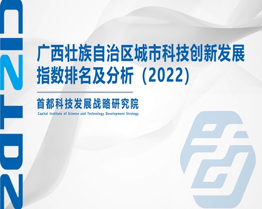 被大鸡吧群操视频【成果发布】广西壮族自治区城市科技创新发展指数排名及分析（2022）